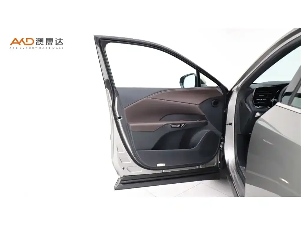 Lexus RX New Energy 2025 из CN, фото 4