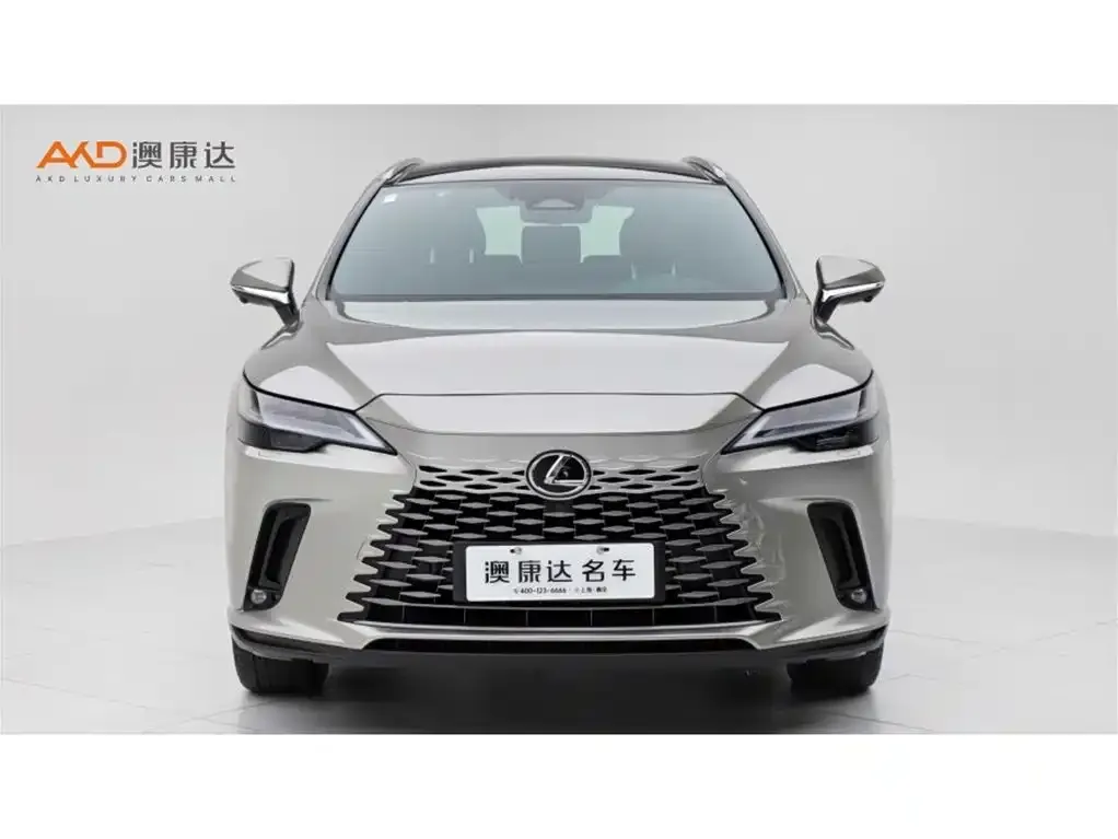Lexus RX New Energy 2025 из CN, фото 2