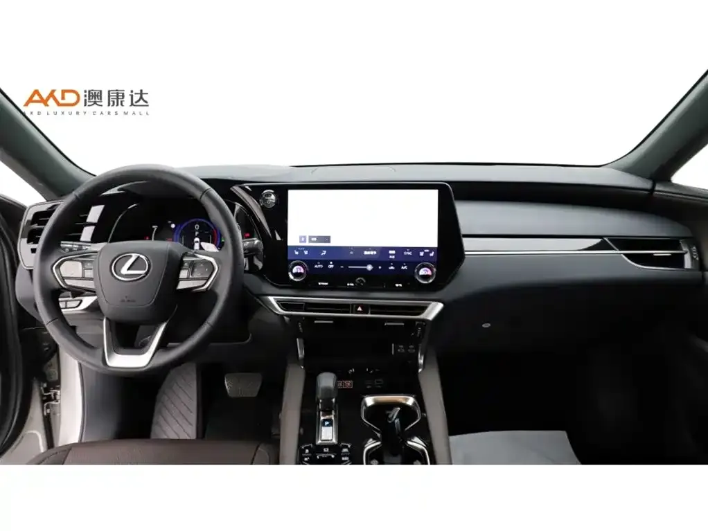 Lexus RX New Energy 2025 из CN, фото 9