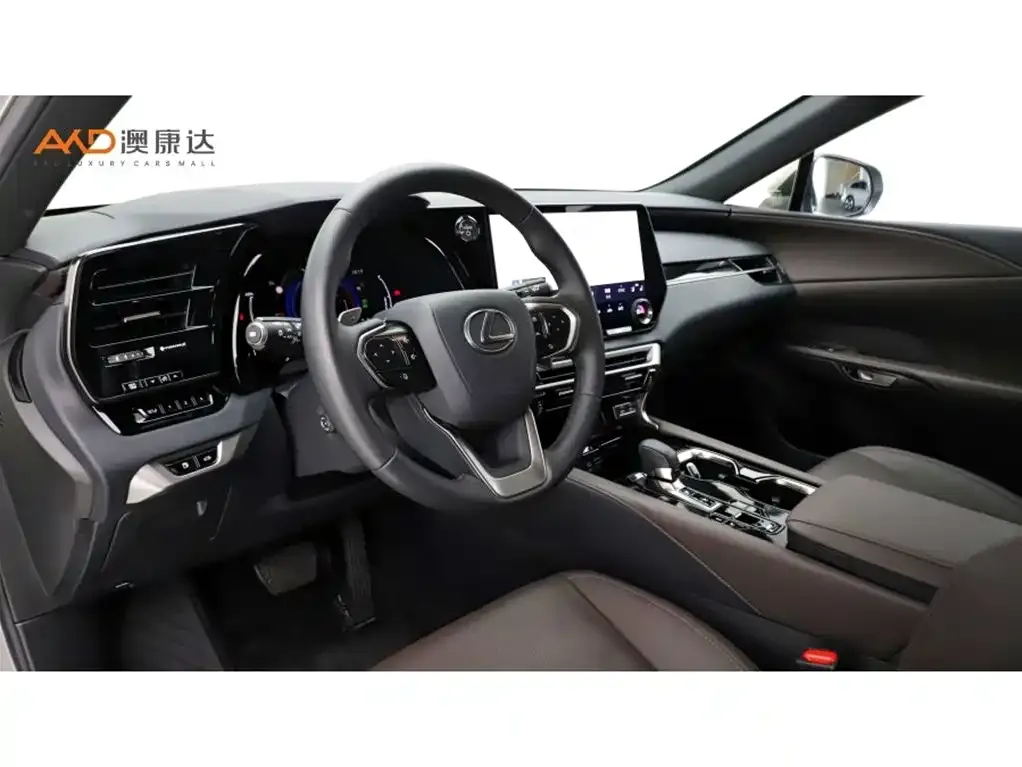 Lexus RX New Energy 2025 из CN, фото 5