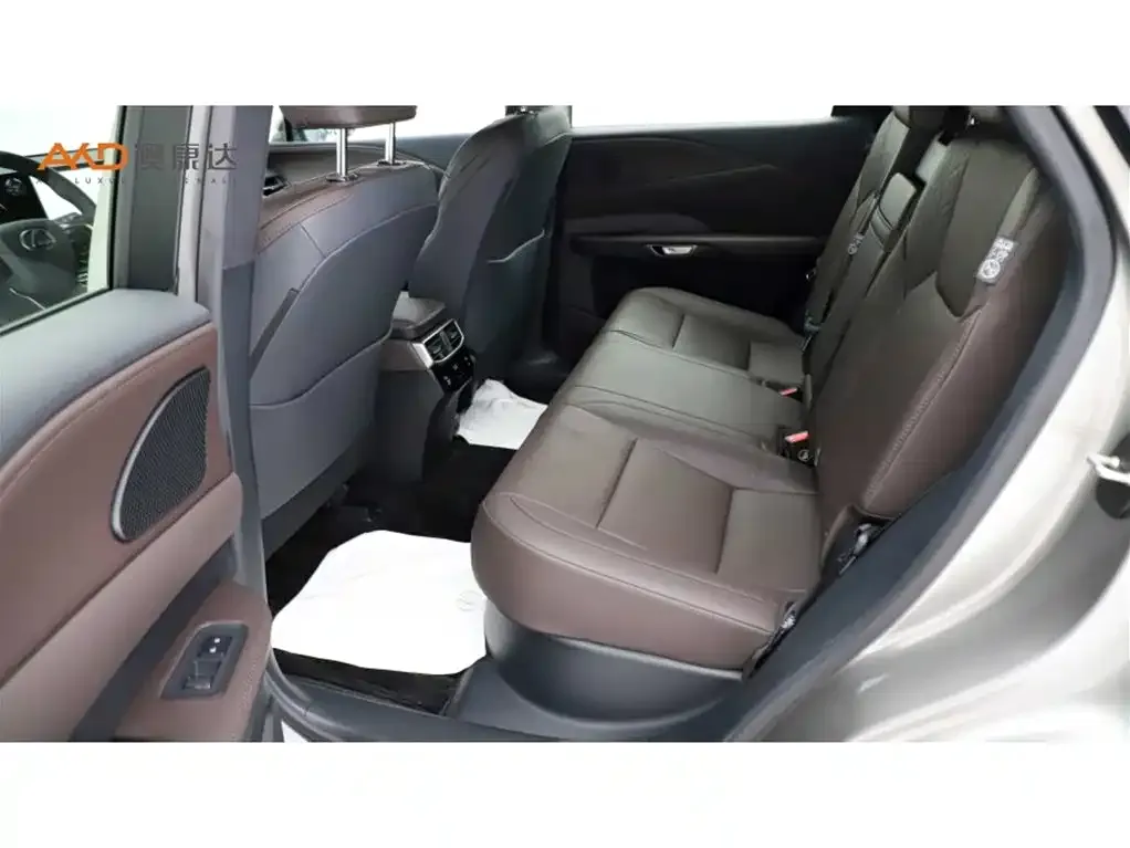 Lexus RX New Energy 2025 из CN, фото 8