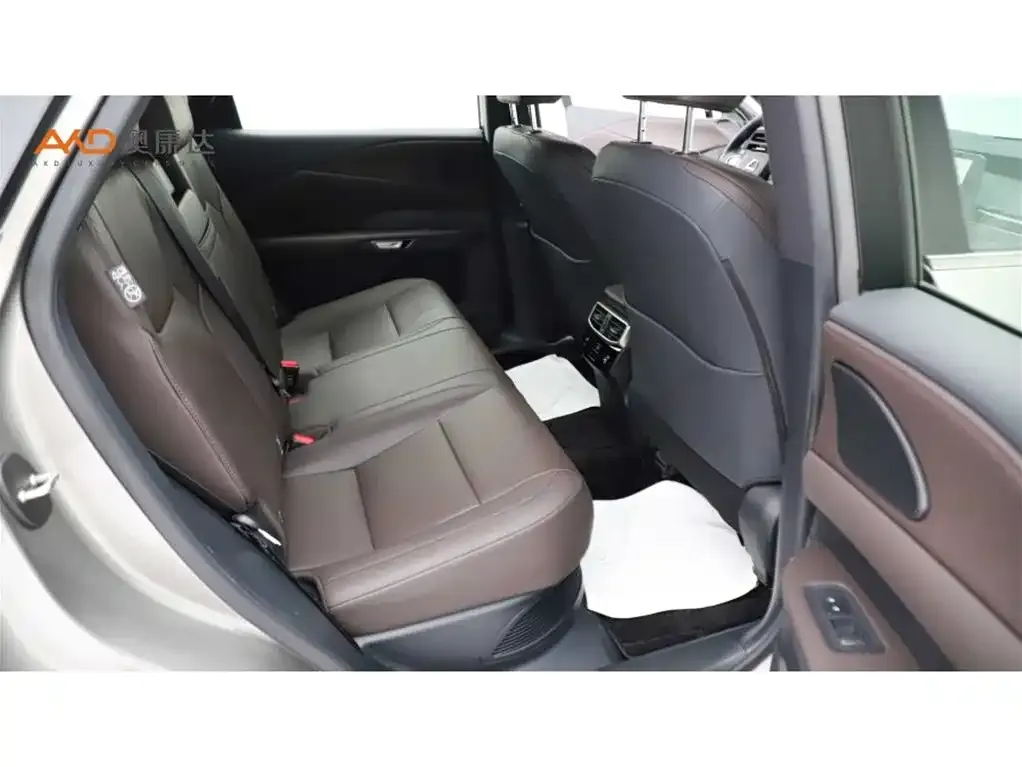 Lexus RX New Energy 2025 из CN, фото 10