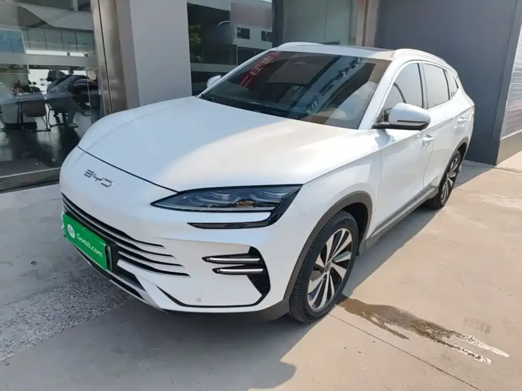 BYD PLUS New Energy — фото 10