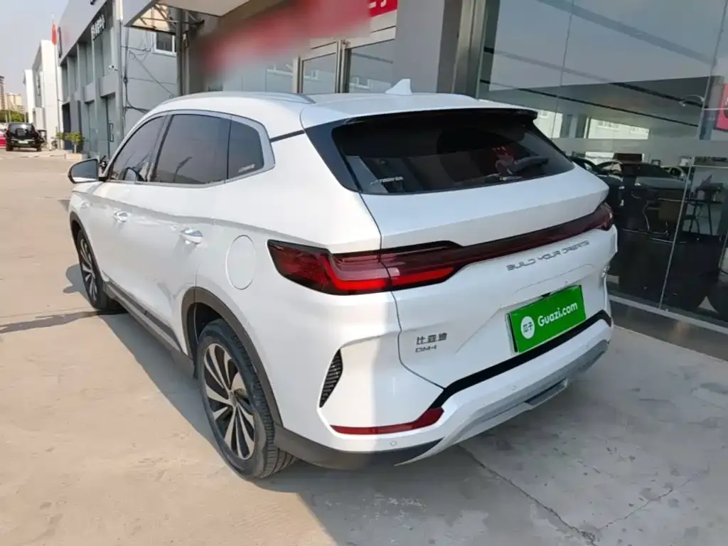 BYD PLUS New Energy — фото 4