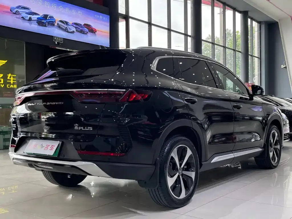 BYD PLUS New Energy — фото 3