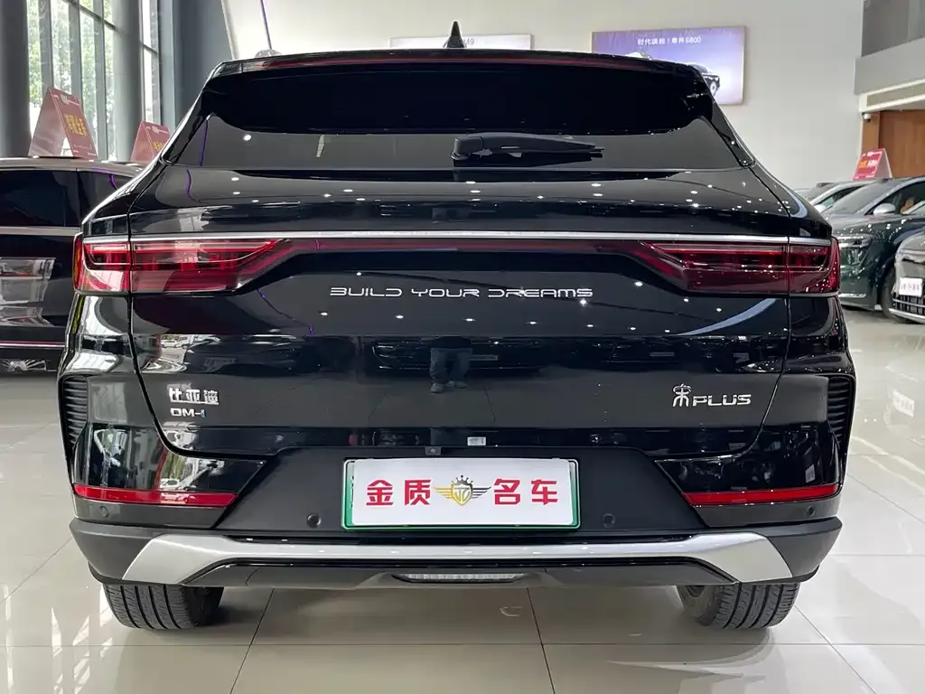 BYD PLUS New Energy — фото 4