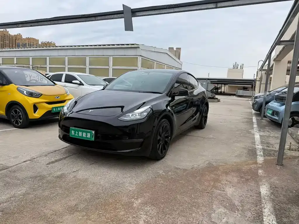 Tesla Model Y — фото 1