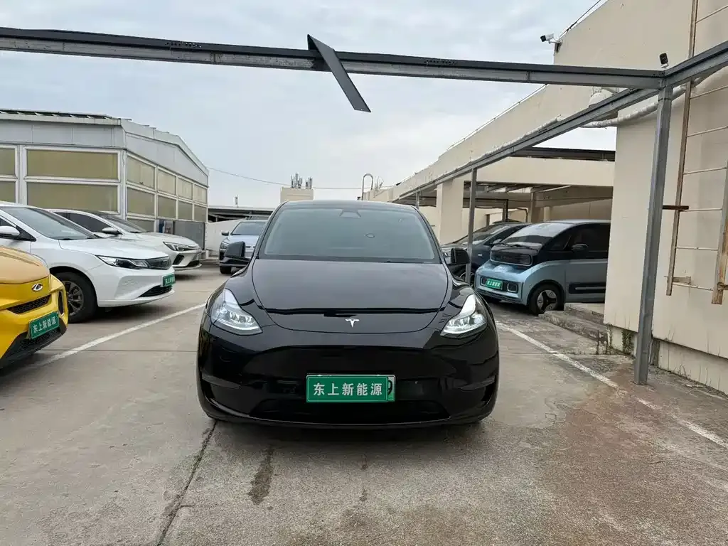 Tesla Model Y — фото 5