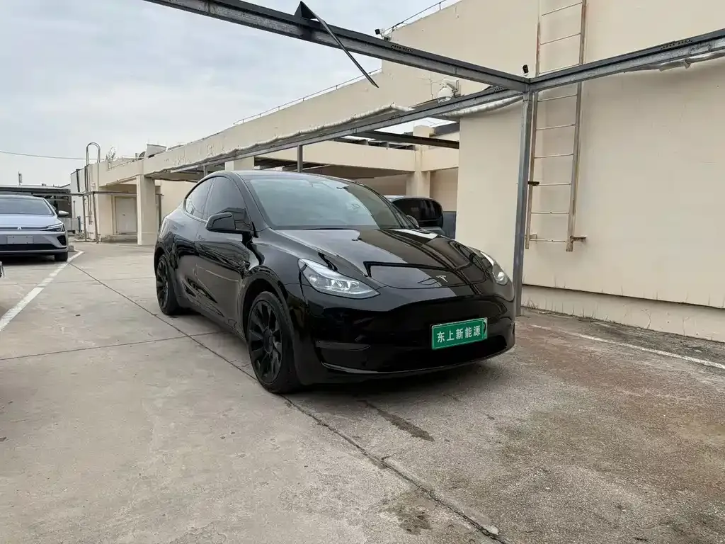 Tesla Model Y — фото 6