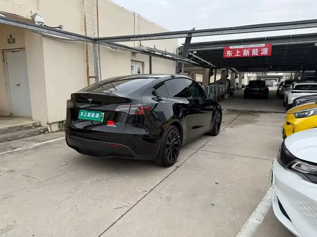 Tesla Model Y — фото 9