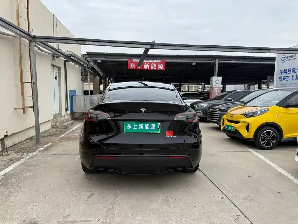 Tesla Model Y — фото 7