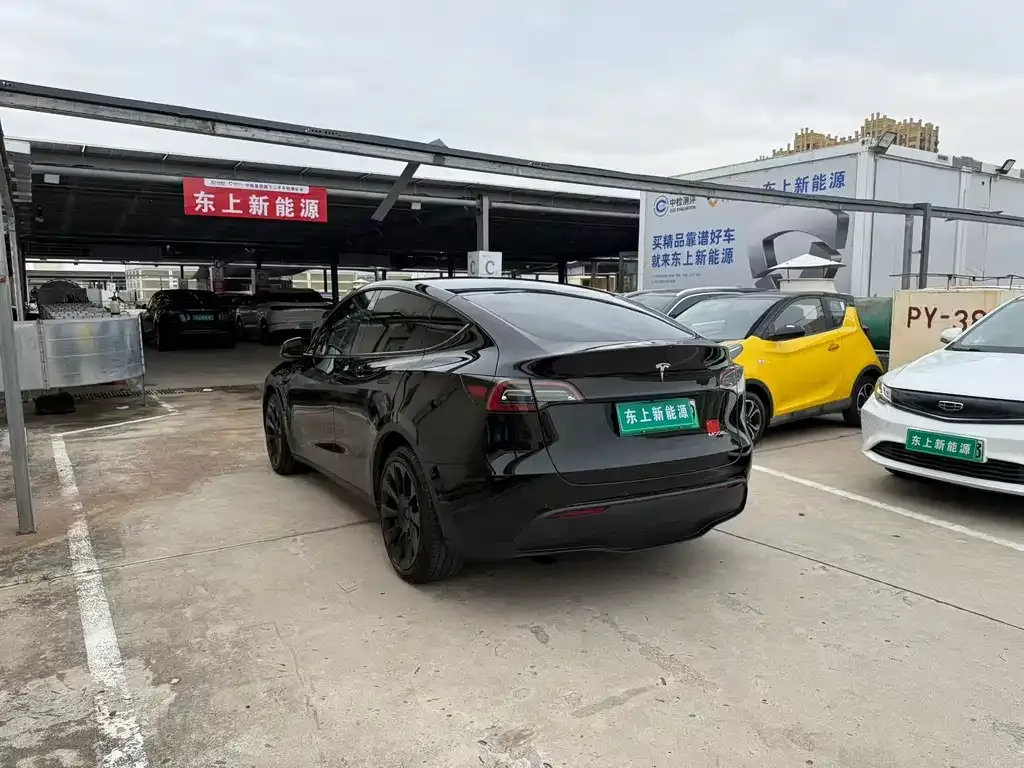 Tesla Model Y — фото 4