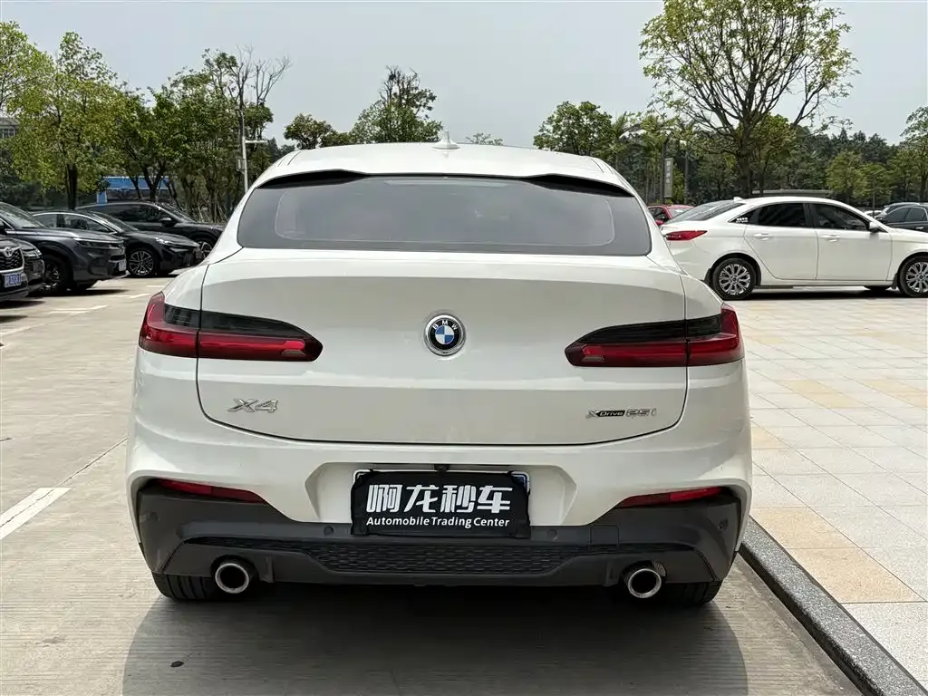 BMW X4 2021 из CN, фото 7