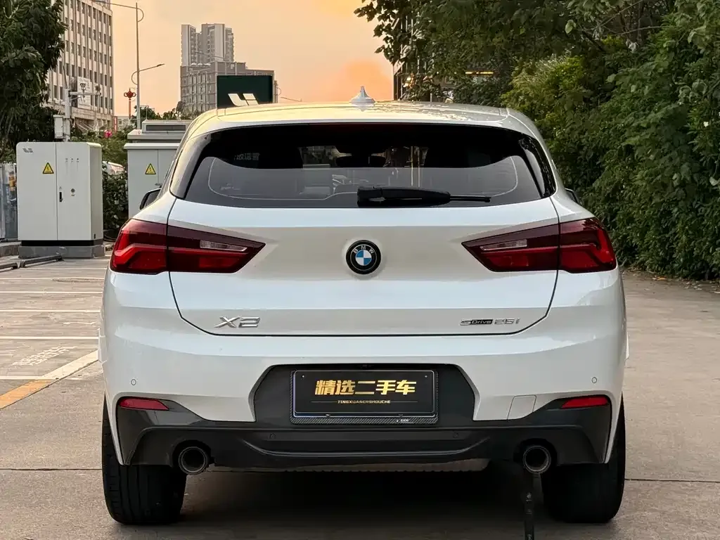 BMW X2 2023 из CN, фото 10