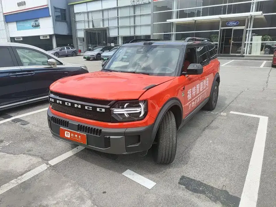 Ford Smart Fun Horse