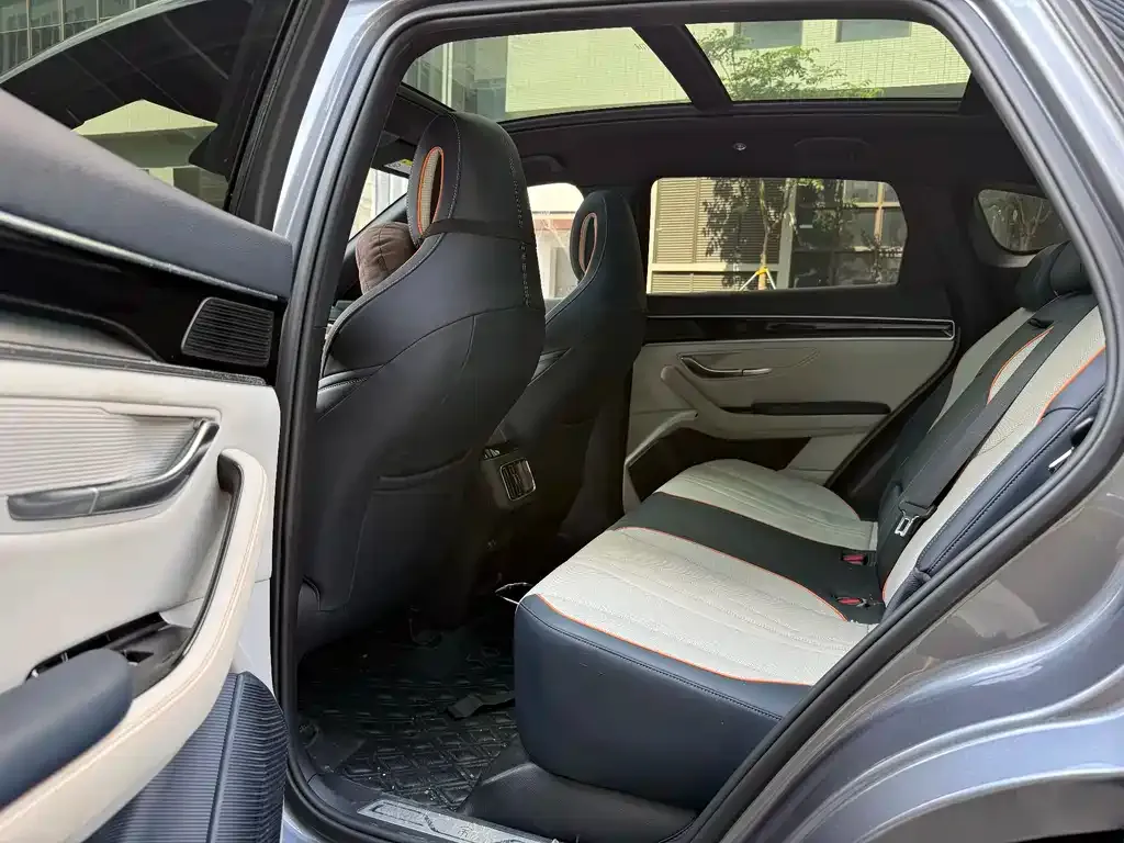 BYD PLUS New Energy 2022 из CN, фото 7