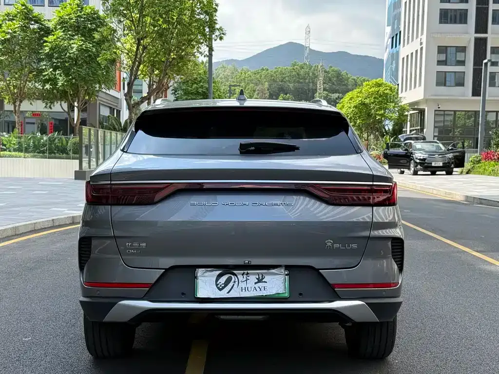 BYD PLUS New Energy 2022 из CN, фото 4