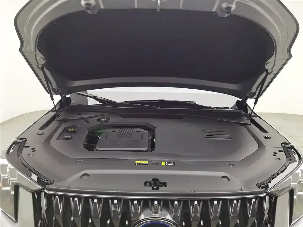 GAC Motor Trumpchi ES9 2024 из CN, фото 9