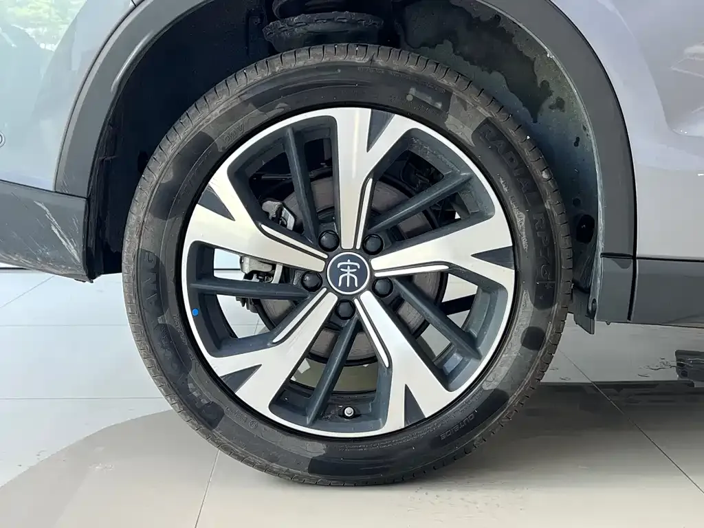BYD Pro New Energy — фото 6