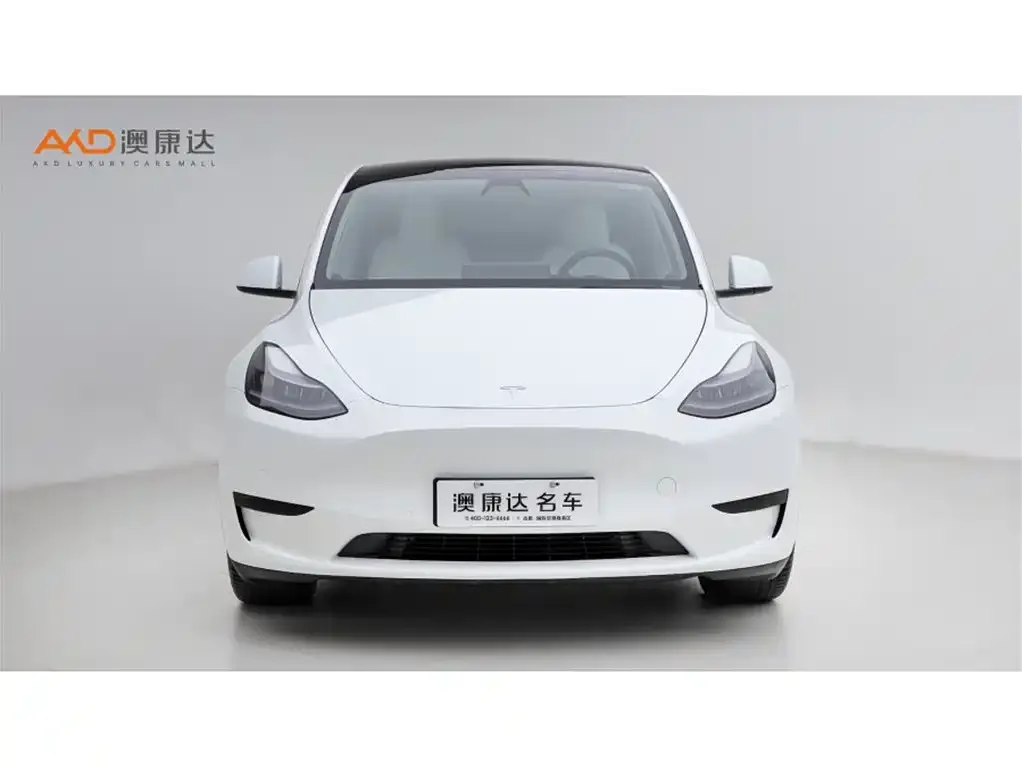 Tesla Model Y — фото 8