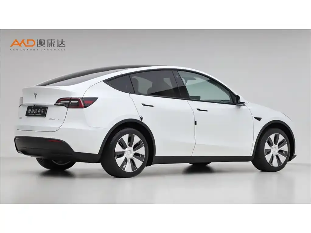 Tesla Model Y — фото 9