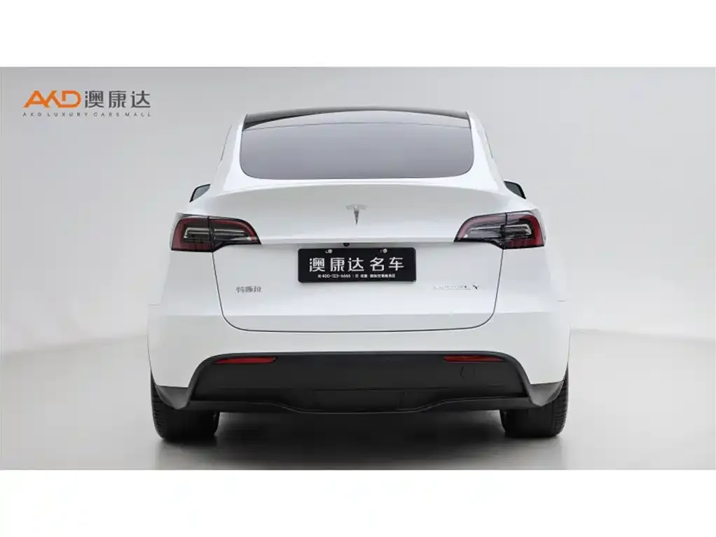 Tesla Model Y — фото 10
