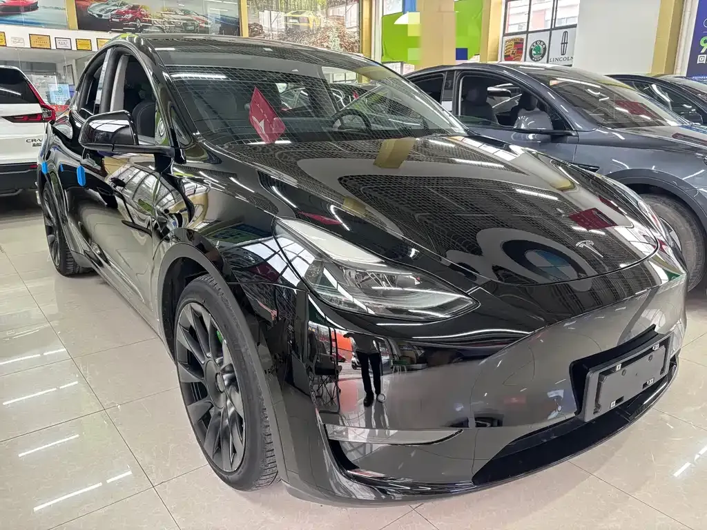 Tesla Model Y — фото 1