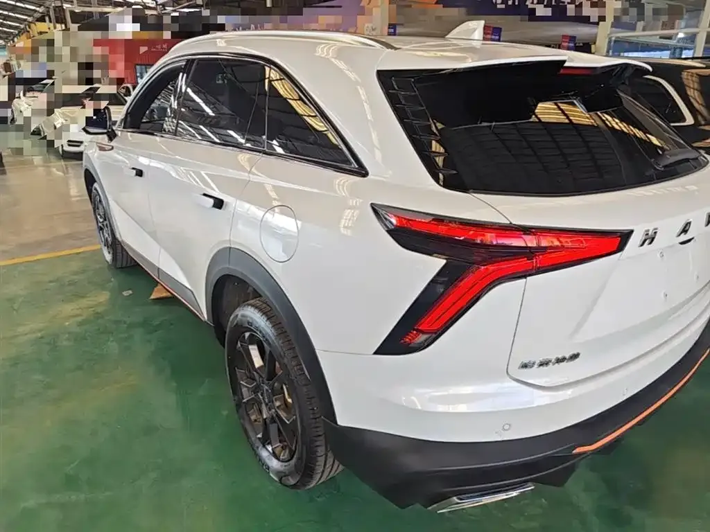 Haval Shenshou 2022 из CN, фото 5