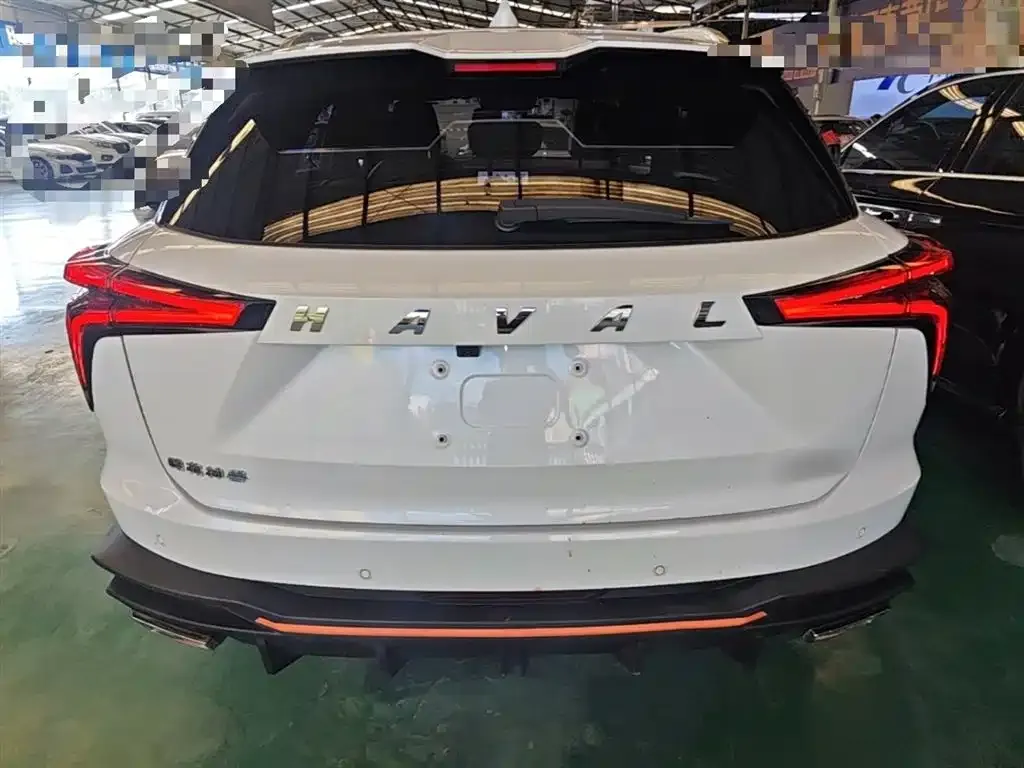 Haval Shenshou 2022 из CN, фото 9