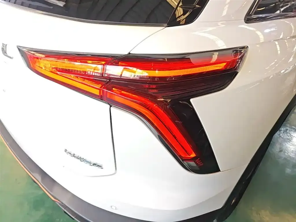 Haval Shenshou 2022 из CN, фото 2