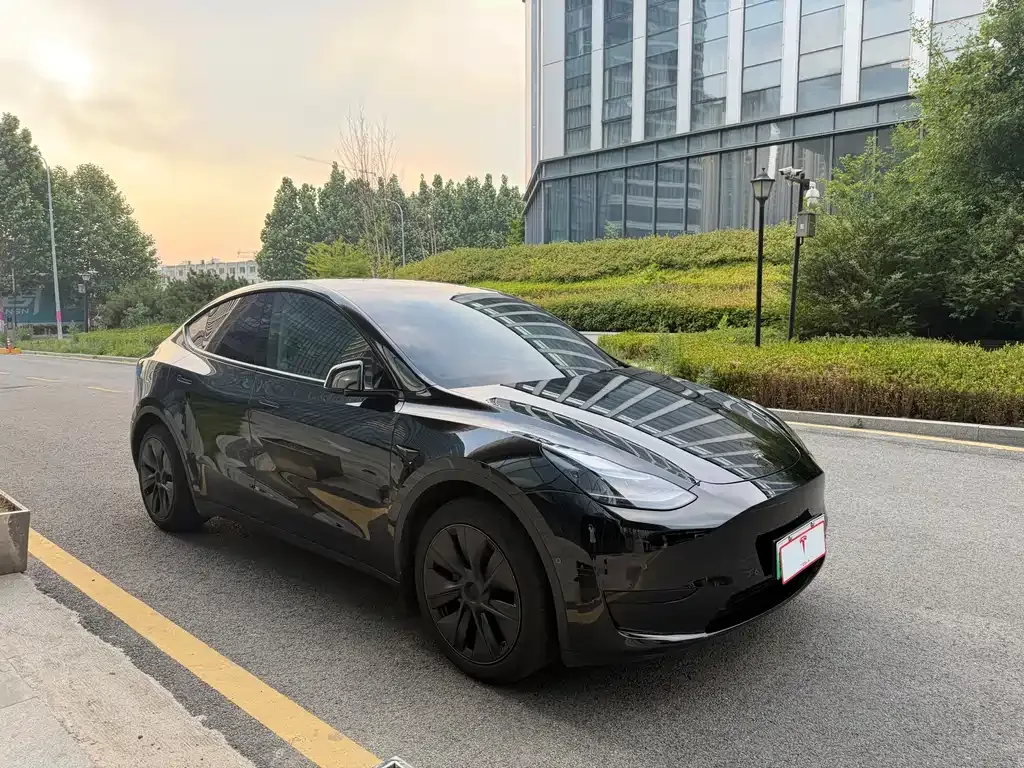 Tesla Model Y — фото 3
