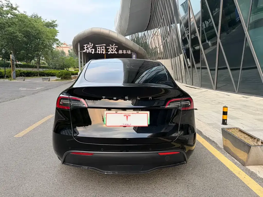 Tesla Model Y — фото 8