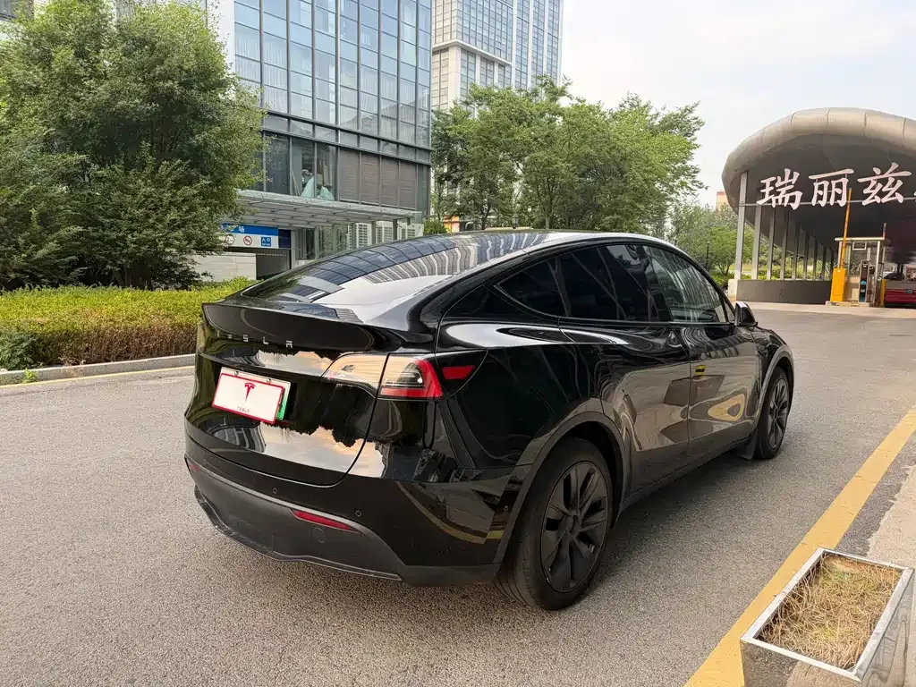Tesla Model Y — фото 2