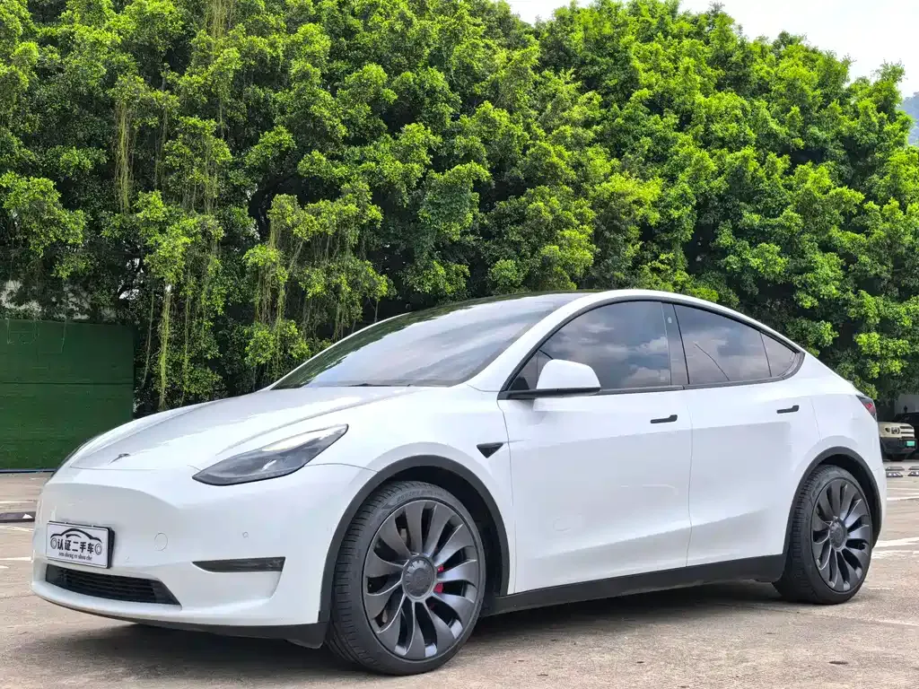 Tesla Model Y — фото 1