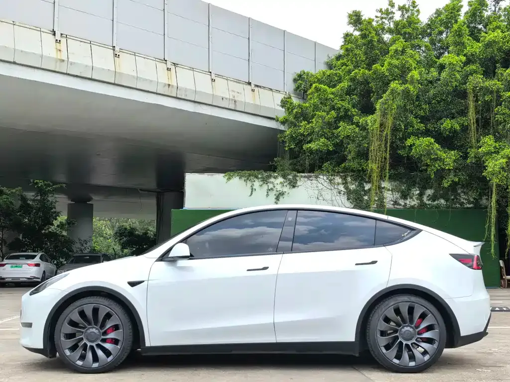 Tesla Model Y — фото 6