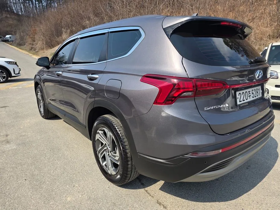 Hyundai Santafe — фото 10