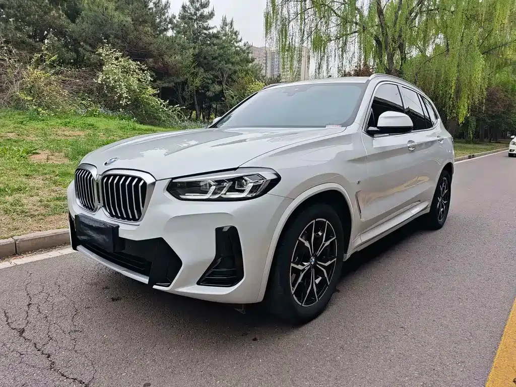 BMW X3 — фото 1