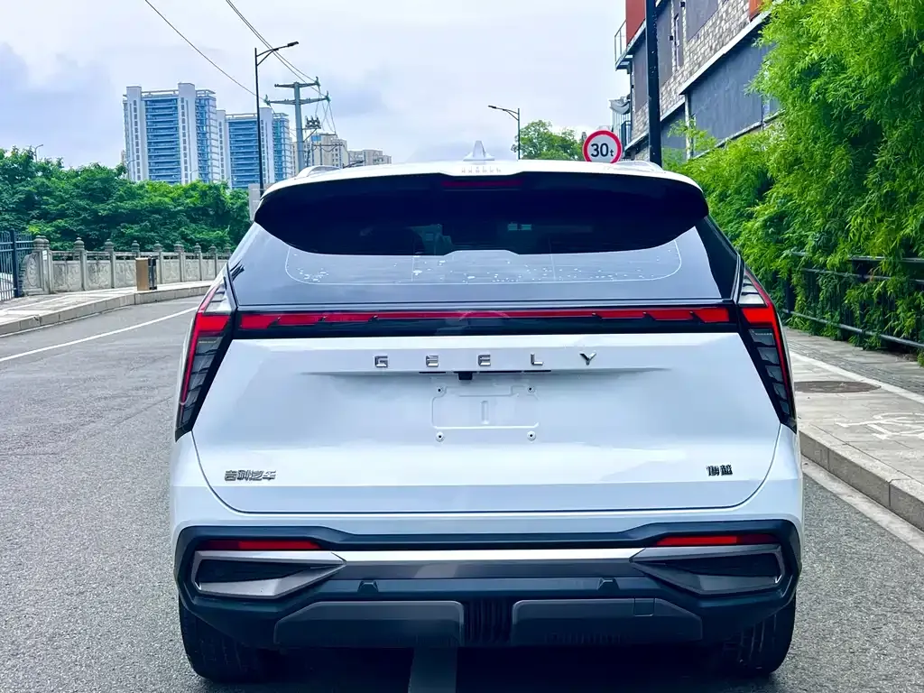 Geely Boyue L 2024 из CN, фото 4