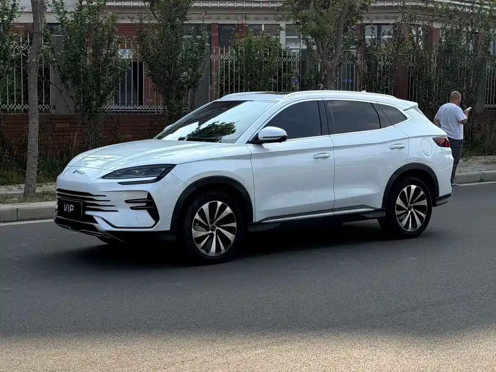 BYD PLUS New Energy — фото 1