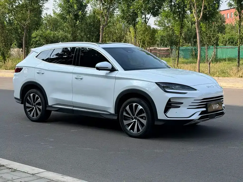 BYD PLUS New Energy — фото 8