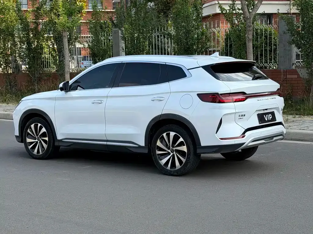 BYD PLUS New Energy — фото 9