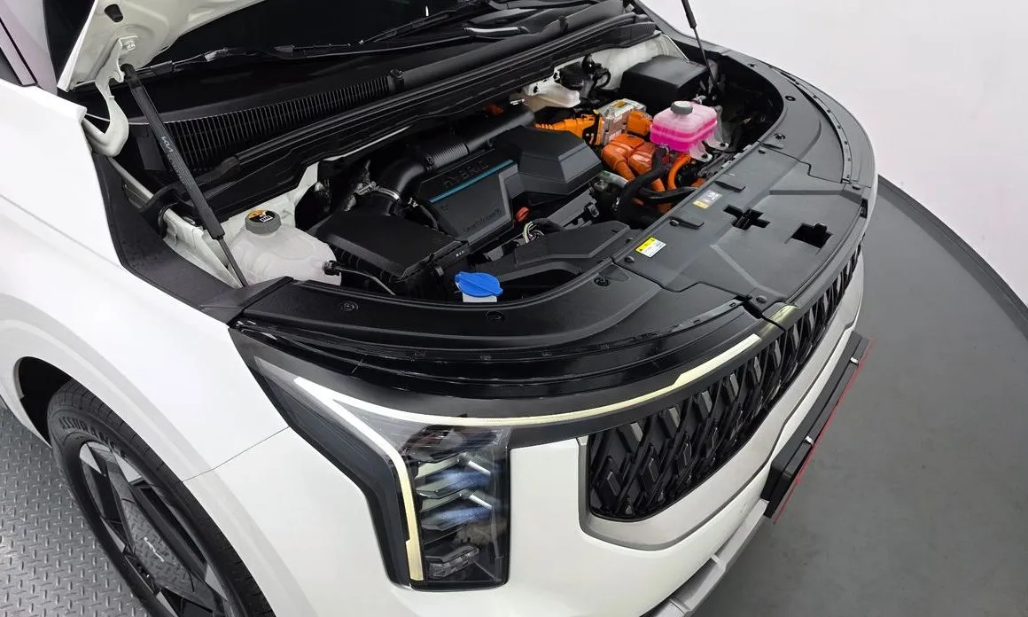 Kia Carnival 2024 из KR, фото 5