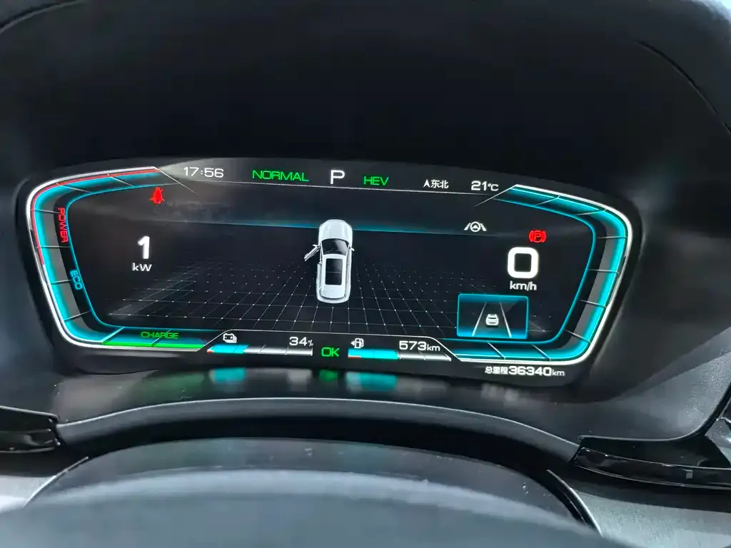 BYD PLUS New Energy — фото 4