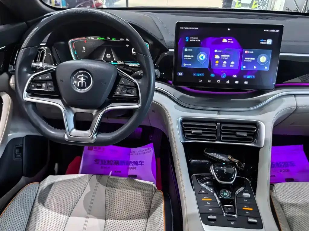 BYD PLUS New Energy — фото 10
