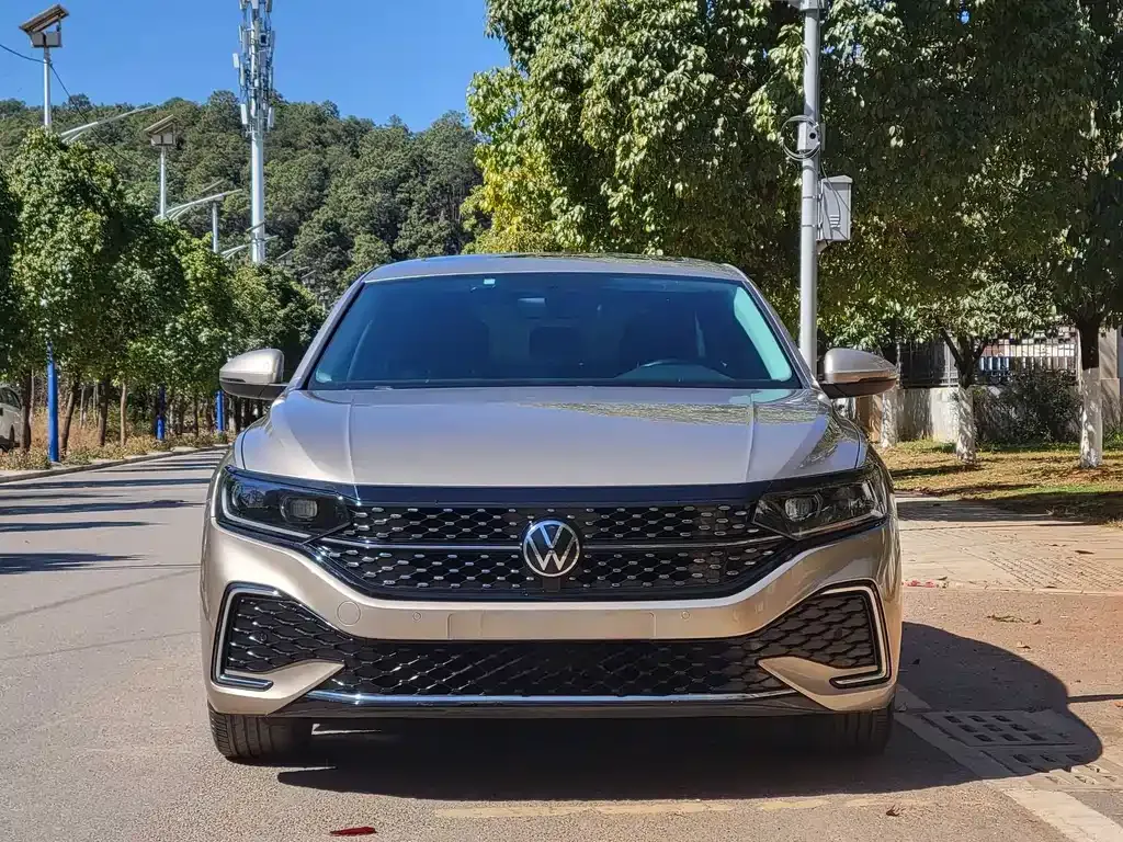 Volkswagen Passat — фото 4