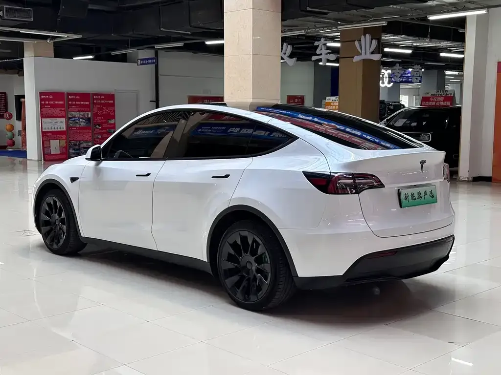 Tesla Model Y — фото 8