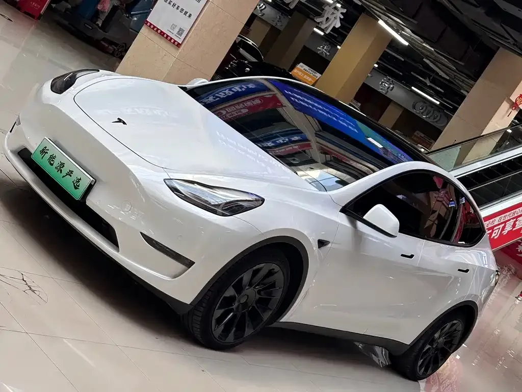 Tesla Model Y — фото 9