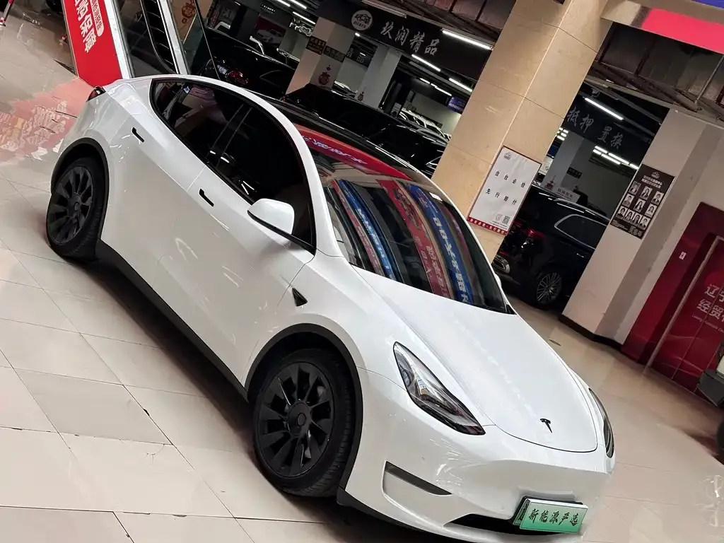 Tesla Model Y — фото 5