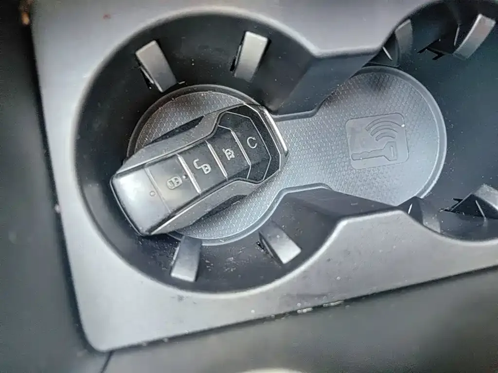 BYD Tang New Energy 2024 из CN, фото 10