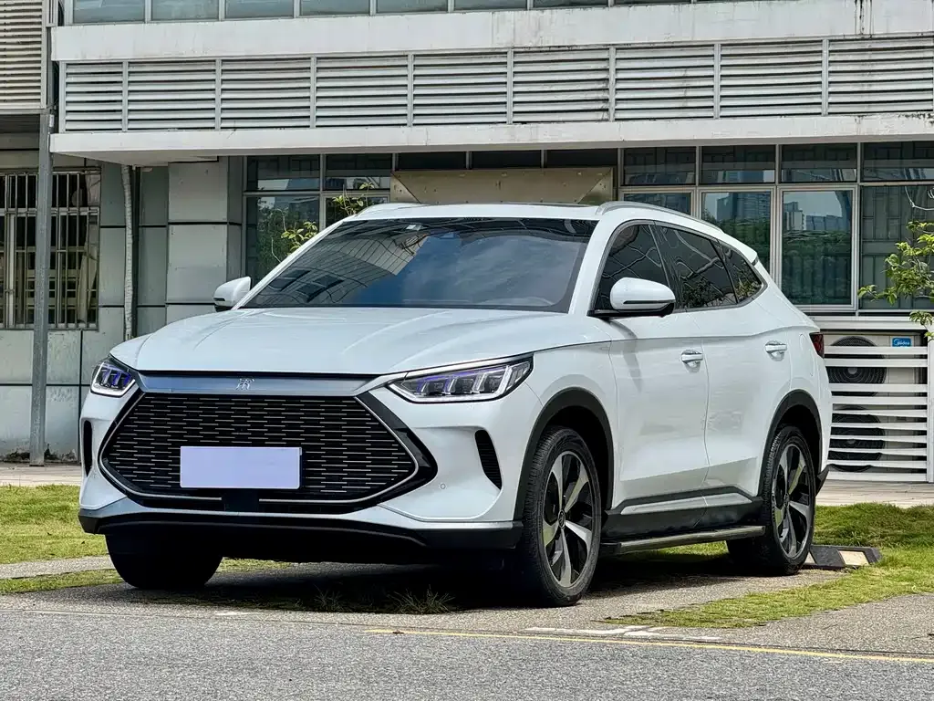 BYD PLUS New Energy — фото 1